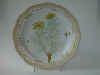 Adonis Vernalis L.  T Supp. 2 81.jpg (118524 byte)
