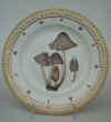 Agaricus Bicolor Vahl.   T1070.jpg (165803 byte)