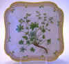Alchemilla Alpina L.  T 49.jpg (200562 byte)