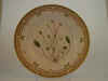 Alisma Natans L.  T 1573.jpg (109928 byte)