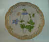 Aquilegia Vulgaris L.  T 695.jpg (133394 byte)