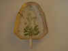 Arabis SuecicaL.  T  Supp. 3  149.jpg (91246 byte)