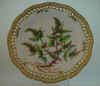 Atriplex Calotheca Fr.  T 1638.jpg (153633 byte)