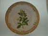 Berberis Vulgaris L.  T 904.jpg (111319 byte)