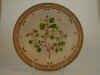 Betula Alpestris Fr.  T 37.jpg (115392 byte)