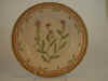 Cakile Maritima Scop.  T 1168.jpg (113642 byte)