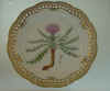 Carduus Acaulis L.  T 1114.jpg (136137 byte)
