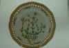 Cerastium Glabratum Hartm. T979.jpg (109746 byte)
