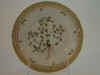 Cerastium Tetrandrum Curt.  T 2117.jpg (110066 byte)