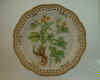 Chelidonium Majus L.  T 542.jpg (135402 byte)