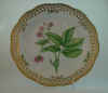 Comarum Palustre L.  T 636.jpg (134668 byte)