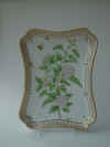 Crataegus Monogyna Jacq.  T 1162.jpg (162566 byte)