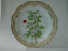 Crataegus Oxyacantha L.  T 634.jpg (118173 byte)
