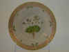 Draba Verna L.  T 983.jpg (103904 byte)
