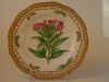 Epilobium Hirsutum L.  T  326.jpg (125298 byte)