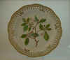 Fagus Silvatica L.  T 1283.jpg (132506 byte)