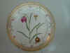 Fritillaria Meleagris L.  T 972.jpg (115207 byte)
