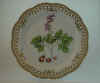 Fumaria Bulbosa L.  T 605.jpg (132093 byte)