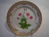 Geranium Ph�um L.  T987.jpg (127069 byte)