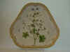 Geranium Pyrenoeicum L.  T 2240.jpg (103612 byte)