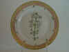Hottonia Palustris L.  T 487.jpg (105811 byte)