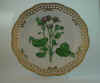 Lappa Tomentosa Sm.  T 2423.jpg (133801 byte)