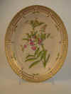 Lathyrus Paluster L.  T 399.jpg (186301 byte)