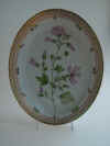 Lavatera Thuringiaca L.  T Supp. 3  151.jpg (164460 byte)