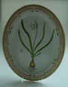Leucojum Aestivum L.  T 1265.jpg (169976 byte)