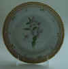 Lonicera Floribunda   T Unknown.jpg (143249 byte)