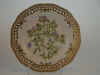 Medicago Sativa L.  T 2244.jpg (126415 byte)