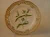 Melandrium Vespertinum (Sibth.)  T 792.jpg (113780 byte)
