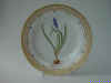 Muscari Botryoides DC.jpg (103888 byte)