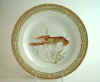 Nephrops Norvegicus.jpg (152500 byte)