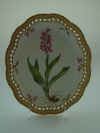 Orchis Mascula L. T457.jpg (161314 byte)