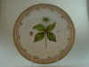 Paris Quadrifolia L.  T 139.jpg (109594 byte)