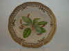 Plantago Intermedia Gilib.  T 2827.jpg (121369 byte)