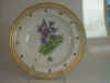 Polemonium Caeruleum L.  T 255.jpg (115307 byte)