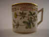 Potentilla Retusa Mull.     T799.jpg (88423 byte)