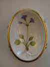Primula Integrifolia Oed.     T188.jpg (127803 byte)