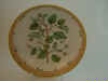 Pyrus Communis L.  T 2118.jpg (105320 byte)