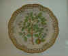 Pyrus Malus L.  T 1101.jpg (134589 byte)