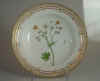 Ranunculus Aconitifolius Oed.  T 111.jpg (121708 byte)