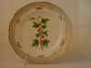 Ribes Alpinum L.  T 968.jpg (111028 byte)