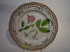 Rosa Carelica Fr.   Supp. 2    T 75.jpg (130183 byte)