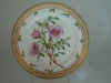 Rosa Cinnamomea L.  T 1214.jpg (122703 byte)