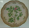 Rosa Mutica Mull.  T 688.jpg (175020 byte)