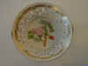 Rosa Suavifolia Light F.     T870.jpg (107851 byte)