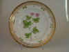Rubus Arcticus L.  T 488.jpg (114804 byte)