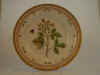 Rubus Vestitus Whe. et N. E.  T 2721.jpg (110737 byte)